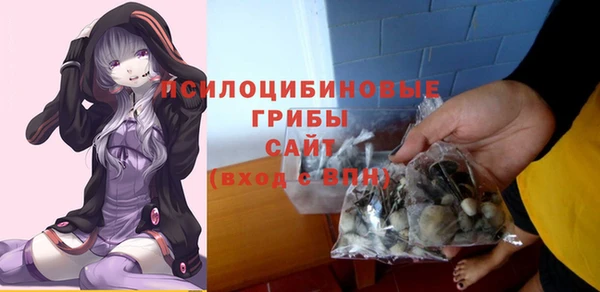 соль ск Переславль-Залесский